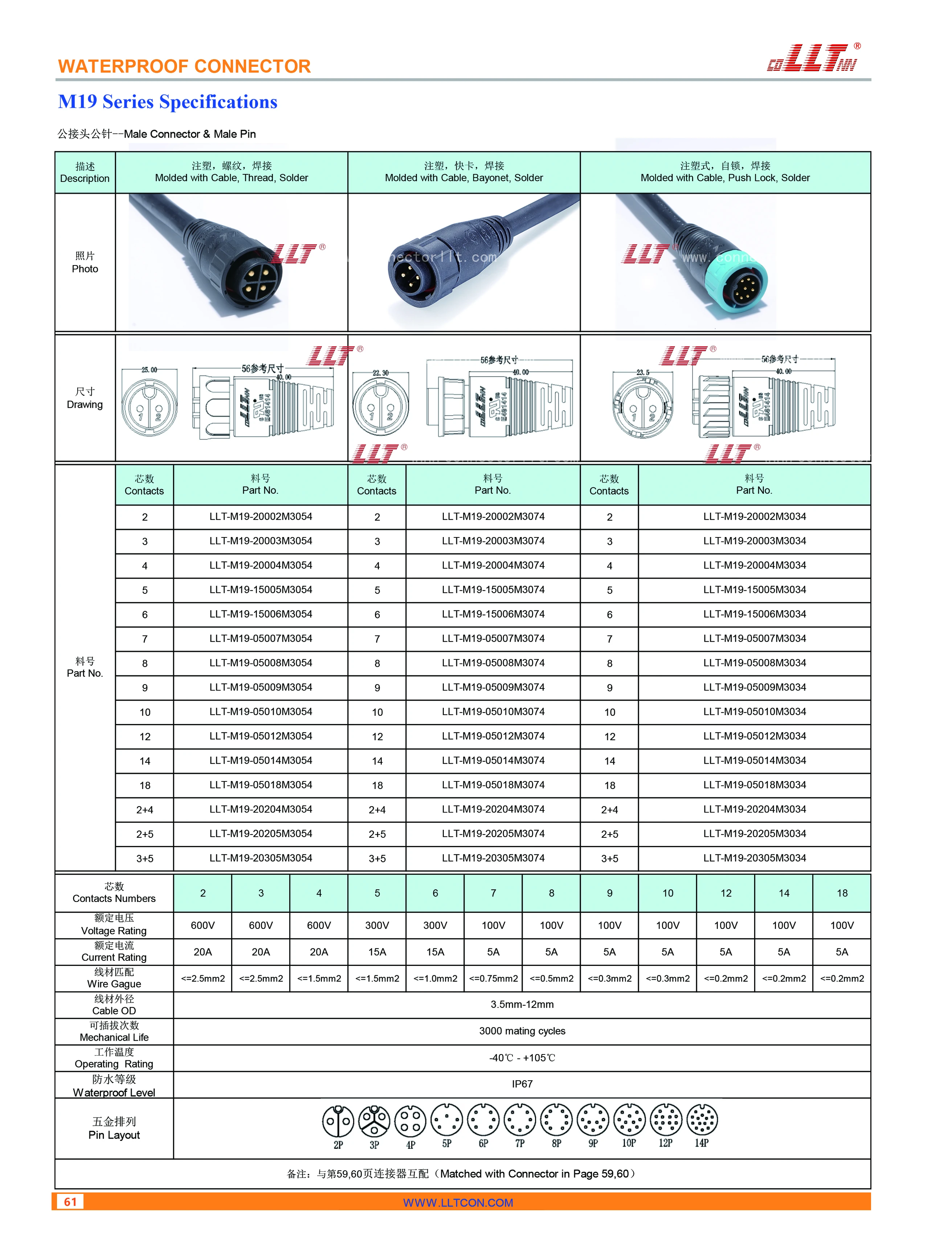 M19注塑式公针公接头 2623x3437 2