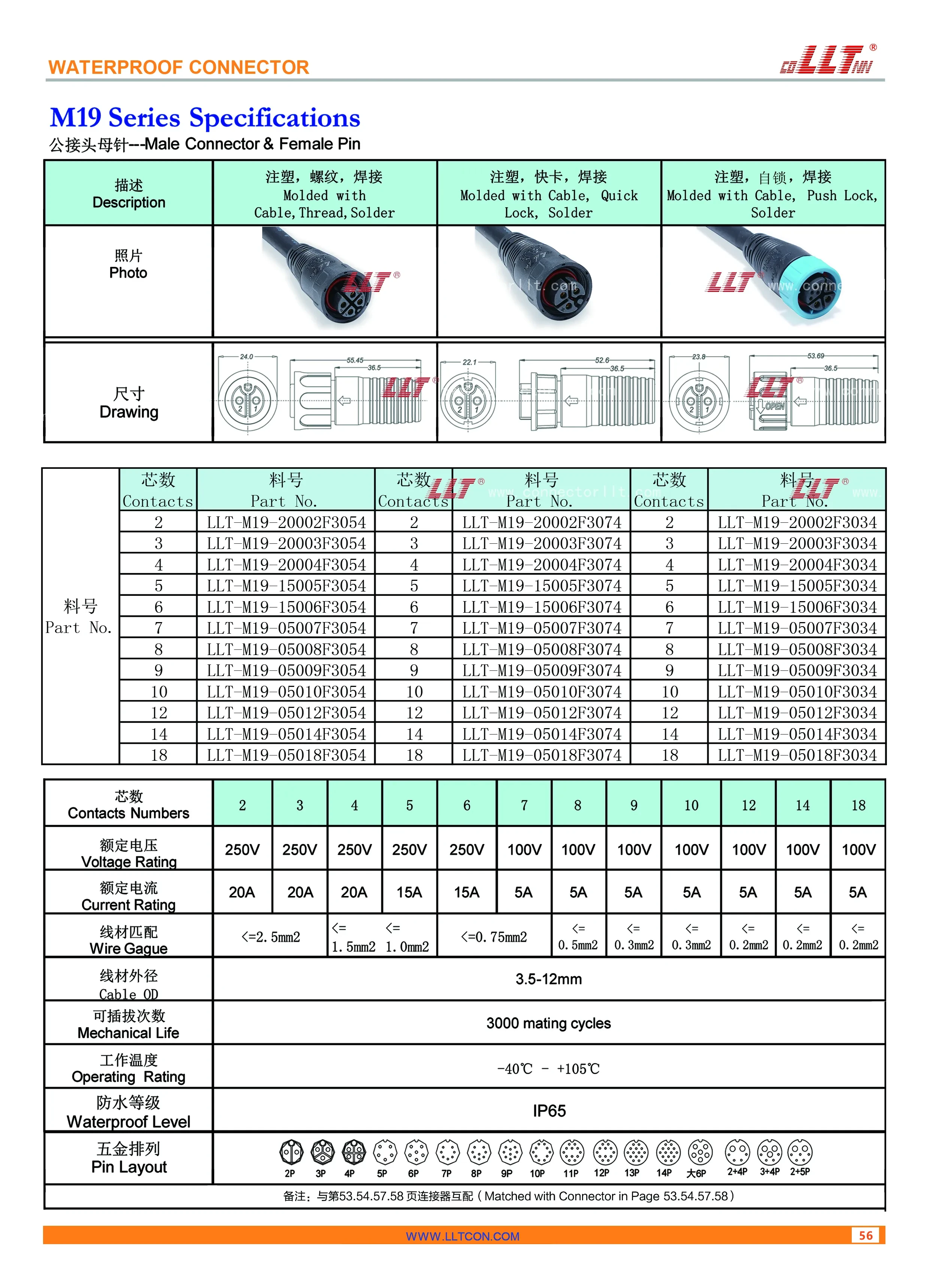 M19注塑式母针公接头 2515x3437 3